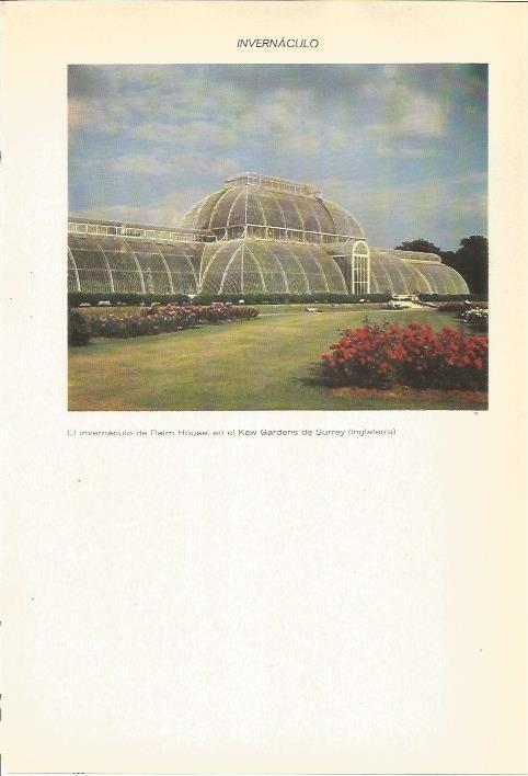 LAMINA 22330: Invernaculo de Palm House, Inglaterra