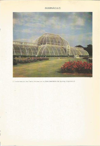 LAMINA 22330: Invernaculo de Palm House, Inglaterra