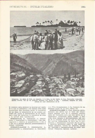 LAMINA 22326:  Playa de Ticu en Sumatra