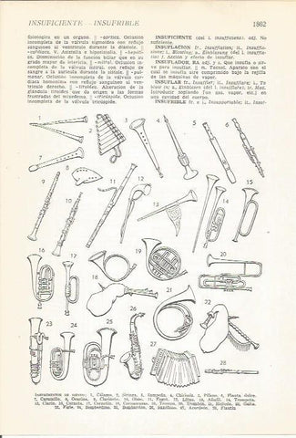 LAMINA 22325: Instrumentos de viento