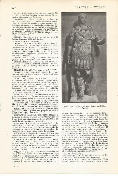 LAMINA 22345: Julio Cesar