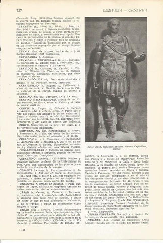 LAMINA 22345: Julio Cesar