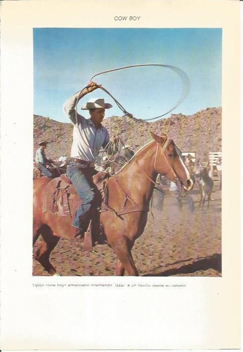 LAMINA 22366: Cowboy