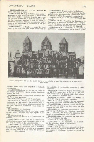 LAMINA 22351: Abadia de Cluny