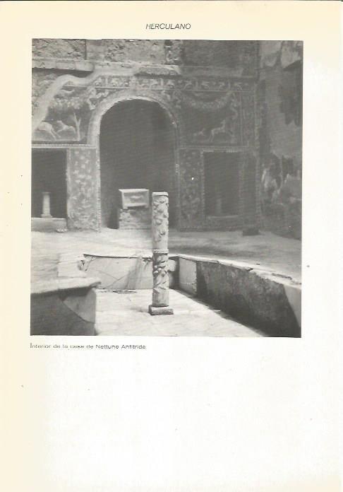 LAMINA 22283: Interior de la Casa de Nettuno Anfitride en Herculano, Italia