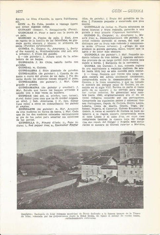 LAMINA 22277: Santuario de Iciar en Guipuzcoa