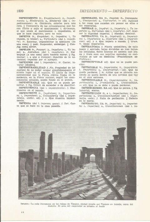 LAMINA 22312: Calle Decumana en Timgad, Argelia