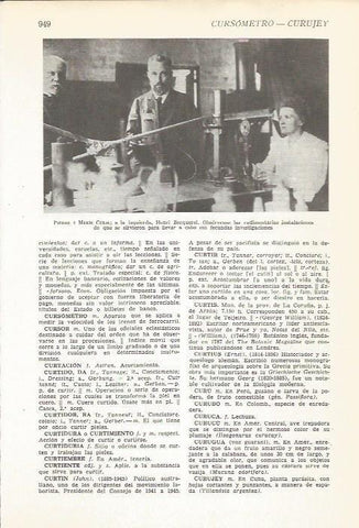 LAMINA 22568: Pierre y Marie Curie