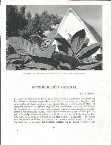 LAMINA 21771: Barraca en la huerta de Valencia