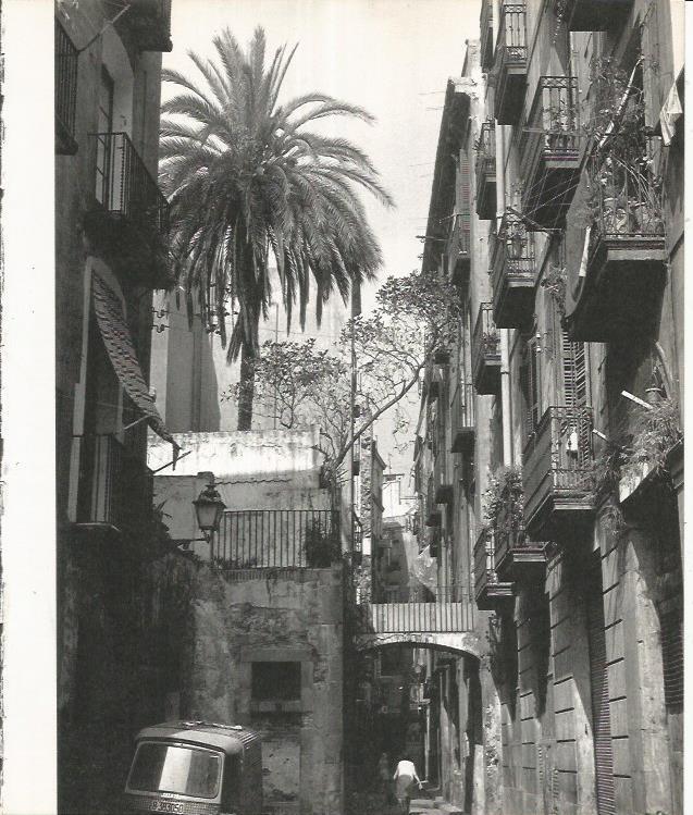 LAMINA 22038: Barcelona. Calle En Carabassa