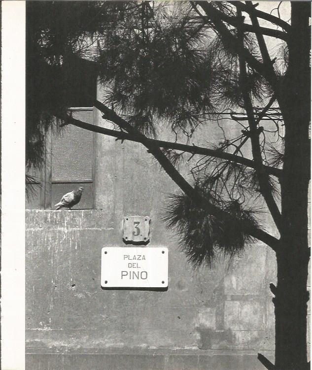LAMINA 22028: Barcelona. Plaza del Pi