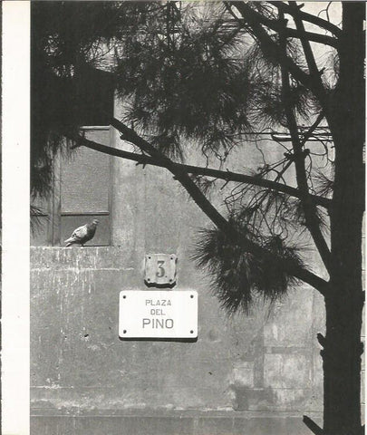 LAMINA 22028: Barcelona. Plaza del Pi