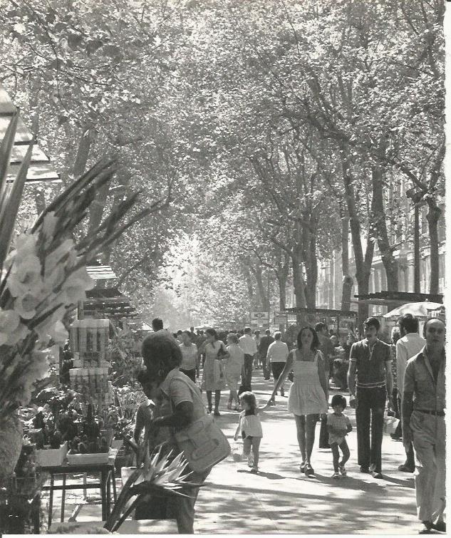 LAMINA 22065: Barcelona. Vista de Las Ramblas