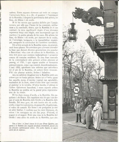 LAMINA 22064: Barcelona. Dragon de la Casa Bruno Quadros