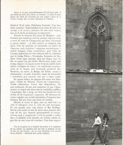 LAMINA 22018: Barcelona. Ventana de la Catedral