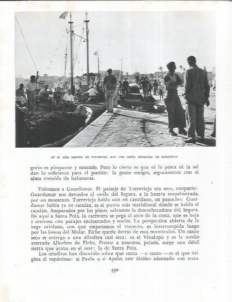LAMINA 21992: Pescadores en Torrevieja