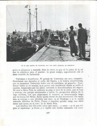 LAMINA 21992: Pescadores en Torrevieja