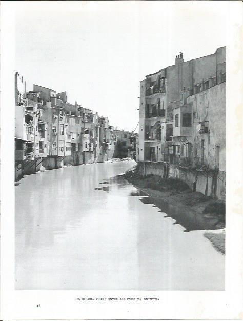 LAMINA 21987: El rio Segura en Orihuela