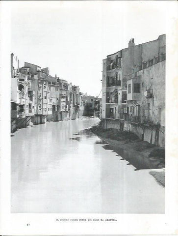 LAMINA 21987: El rio Segura en Orihuela