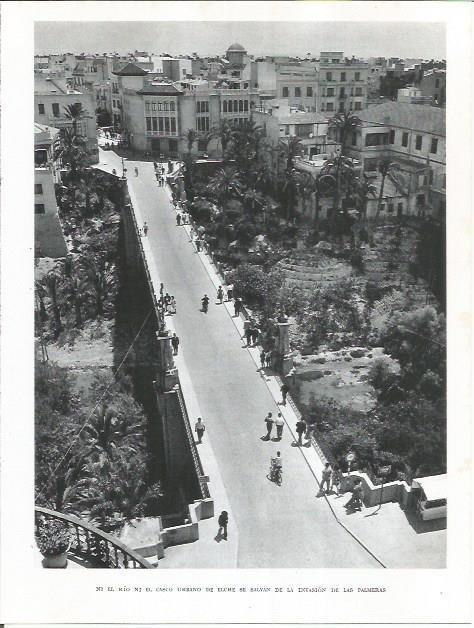 LAMINA 21982: Vista aerea de Elche