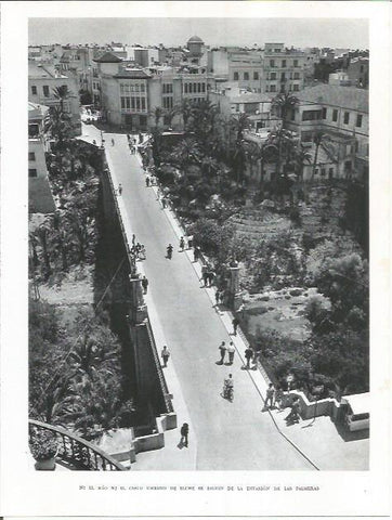 LAMINA 21982: Vista aerea de Elche