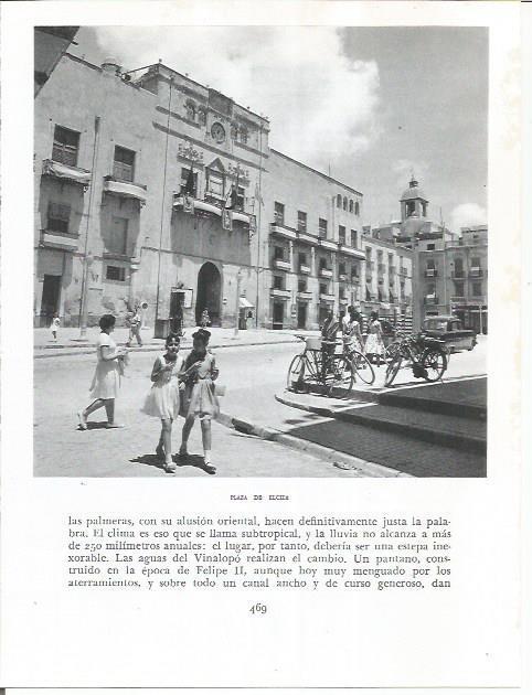 LAMINA 21981: Plaza de Elche