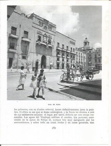LAMINA 21981: Plaza de Elche