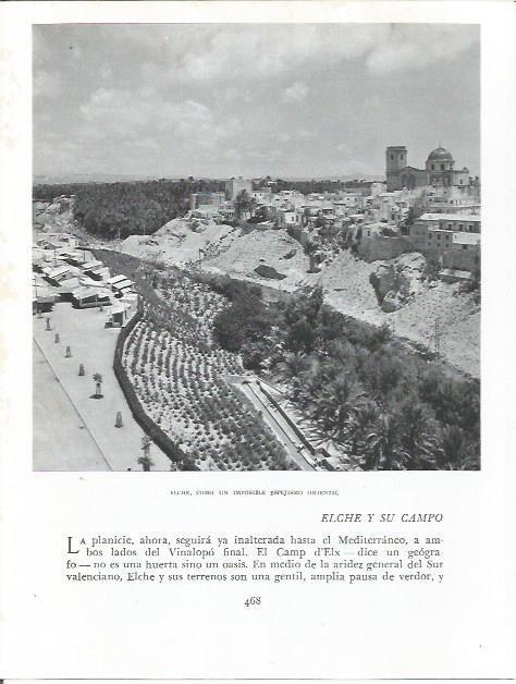 LAMINA 21980: Vista de Elche
