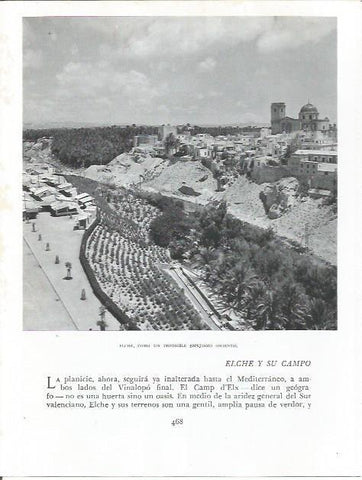 LAMINA 21980: Vista de Elche