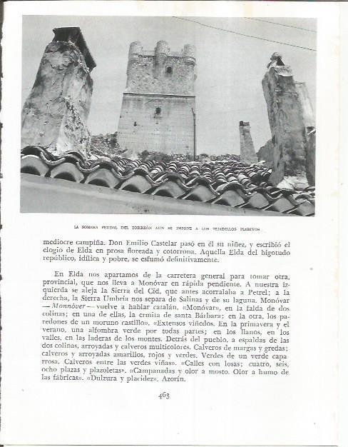 LAMINA 21978: Torreon