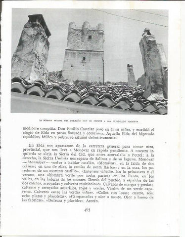 LAMINA 21978: Torreon