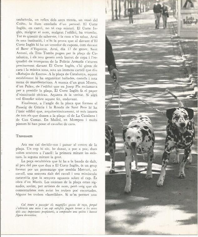 LAMINA 22132: Barcelona. Paseando perros en la Diagonal