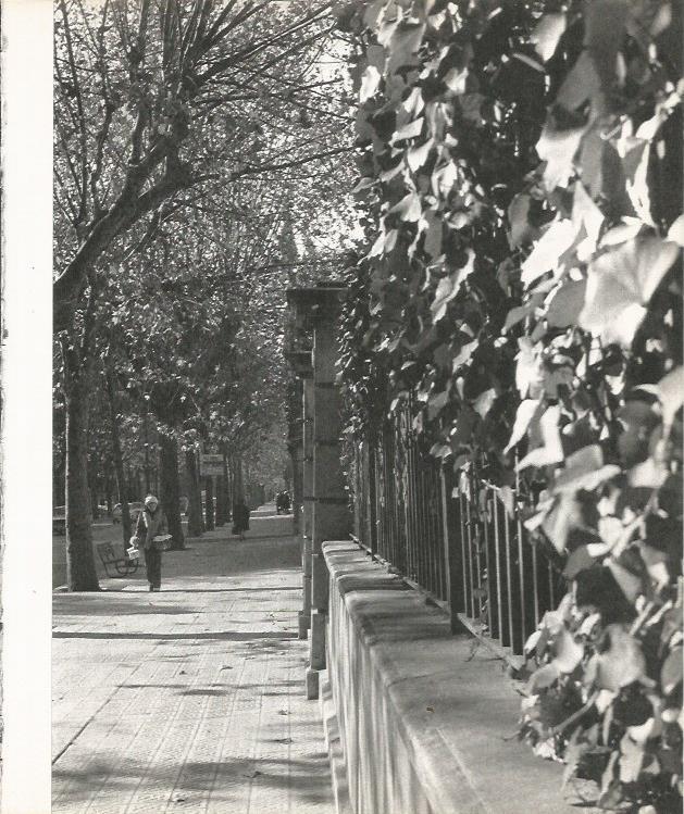 LAMINA 22147: Barcelona. Calle en Sant Gervasi