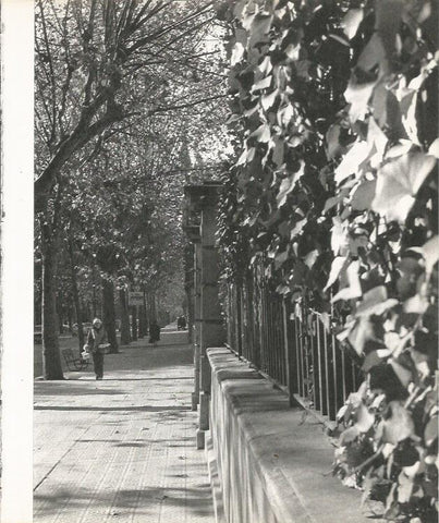 LAMINA 22147: Barcelona. Calle en Sant Gervasi