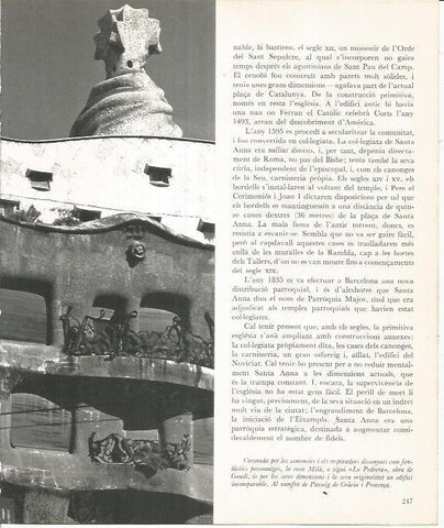 LAMINA 22114: Barcelona. Chimenea de La Pedrera