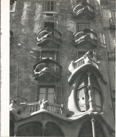 LAMINA 22112: Barcelona. Detalle de la Casa Batllo