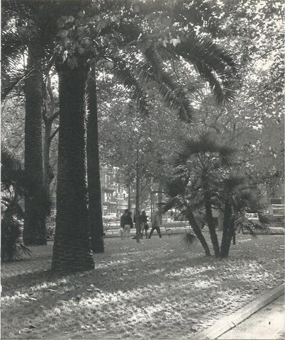 LAMINA 22102: Barcelona.Jardines de Plaza Urquinaona 