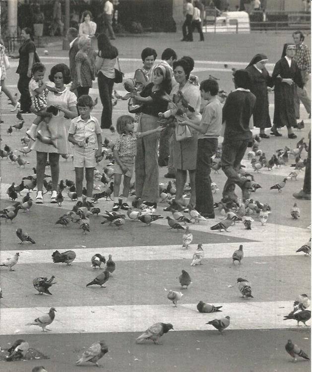 LAMINA 22098: Barcelona. Palomas en plaza Catalunya