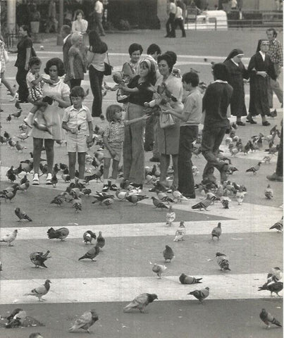 LAMINA 22098: Barcelona. Palomas en plaza Catalunya