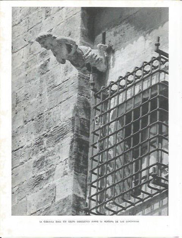 LAMINA 21822: Gargola de la Catedral de Valencia