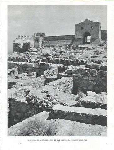 LAMINA 21861: Castell de Morvedre 