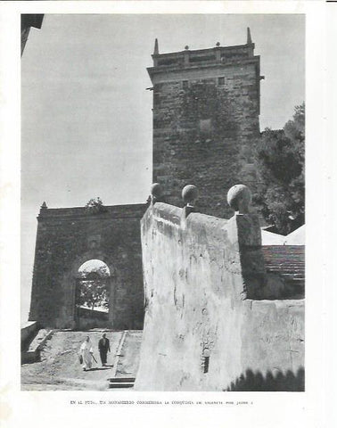 LAMINA 21858: Monasterio de El Puig