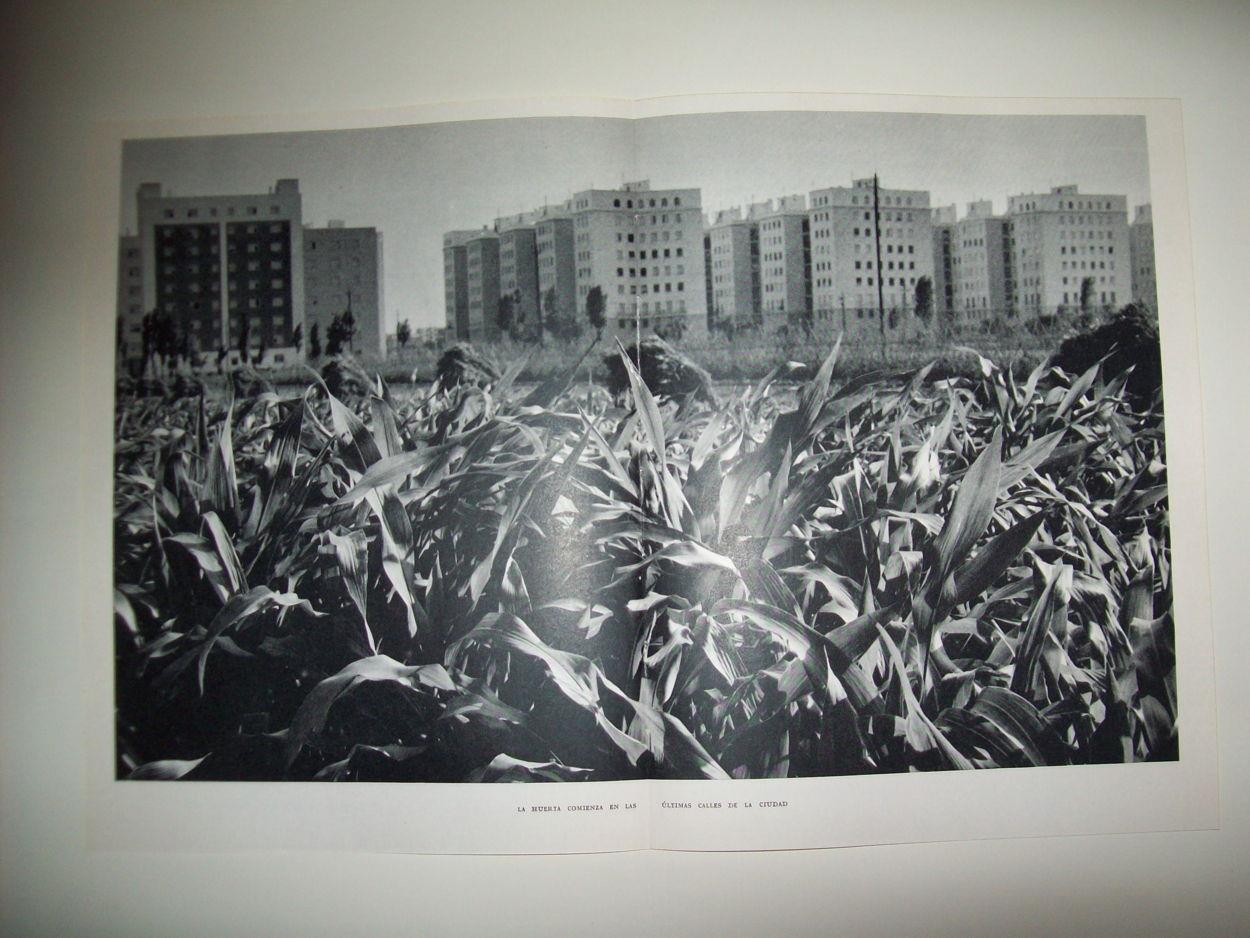 LAMINA 21851: Huerta en Valencia