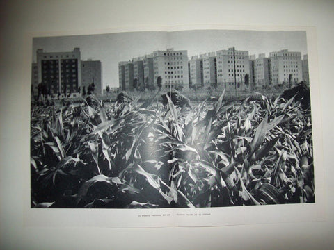 LAMINA 21851: Huerta en Valencia