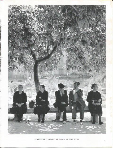 LAMINA 21788: Ancianos en el parque
