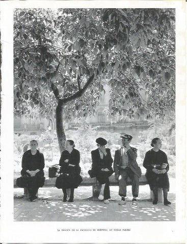 LAMINA 21788: Ancianos en el parque