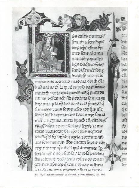 LAMINA 21780: Codice