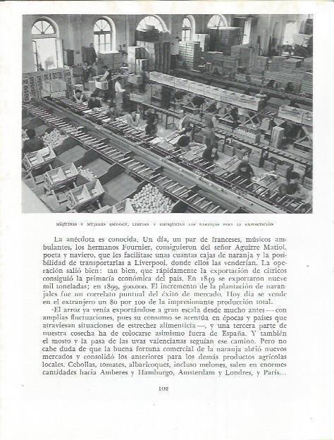 LAMINA 21813: Fabrica de naranjas