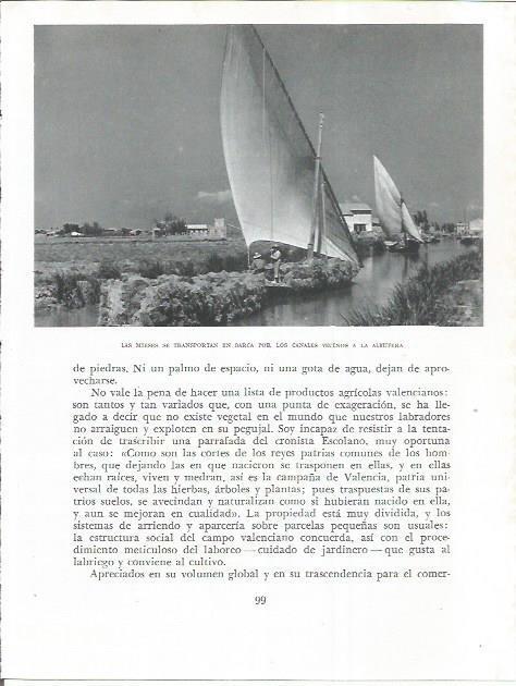 LAMINA 21812: Barcas en la Albufera