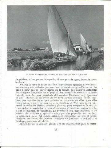 LAMINA 21812: Barcas en la Albufera